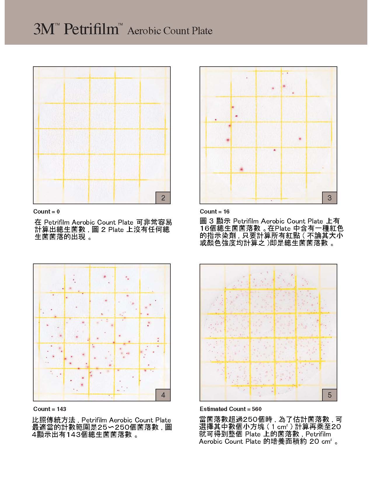 總生菌數 頁面 2