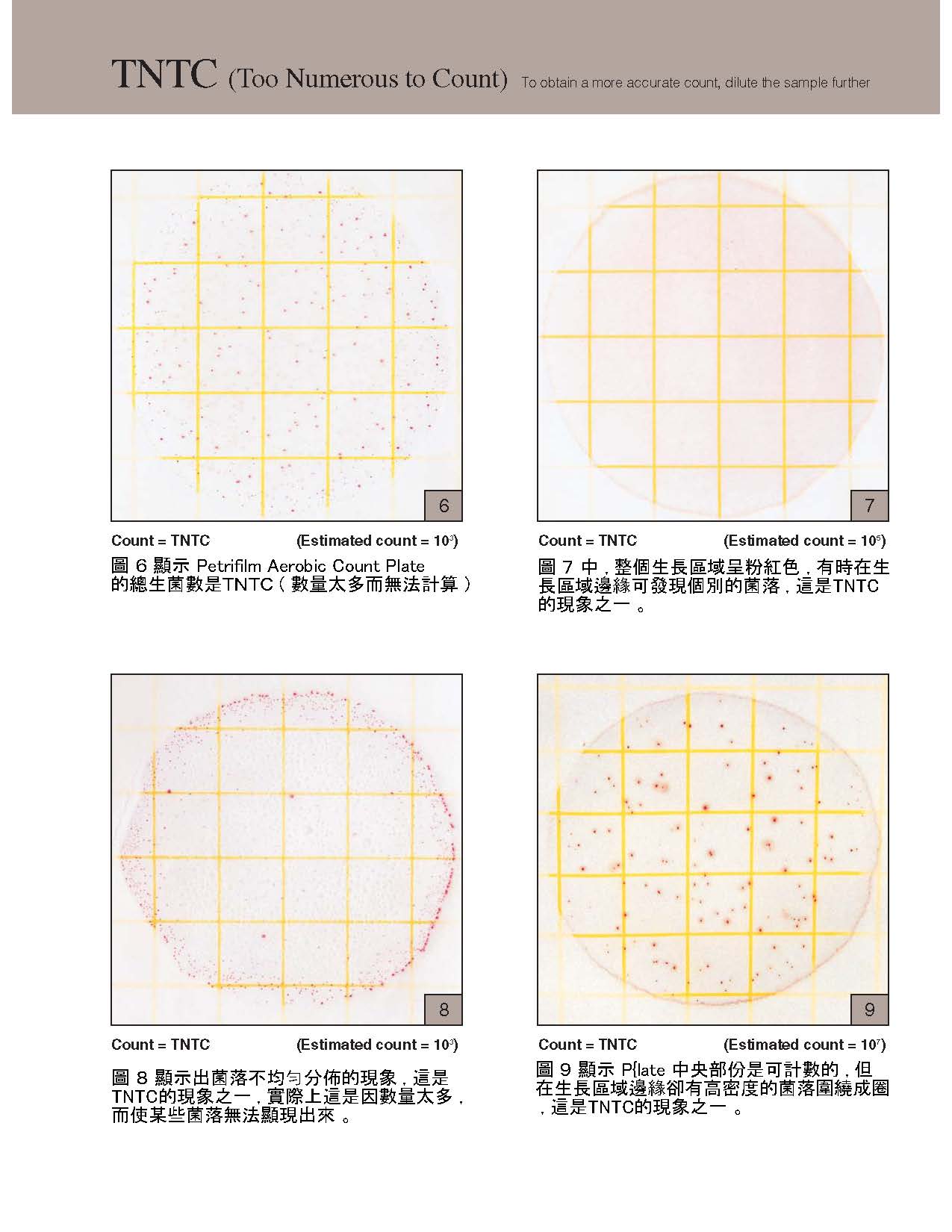 總生菌數 頁面 3