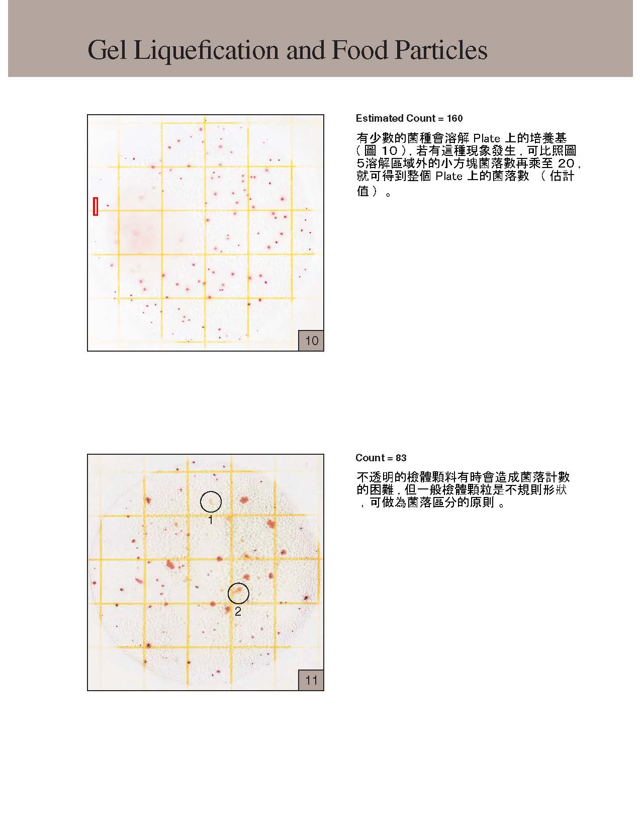 總生菌數 頁面 4